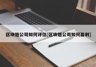 区块链公司如何评估[区块链公司如何盈利]